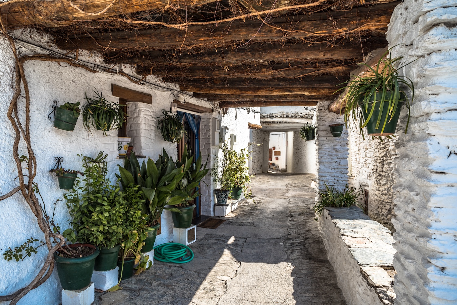 Alpujarra 3(1)
